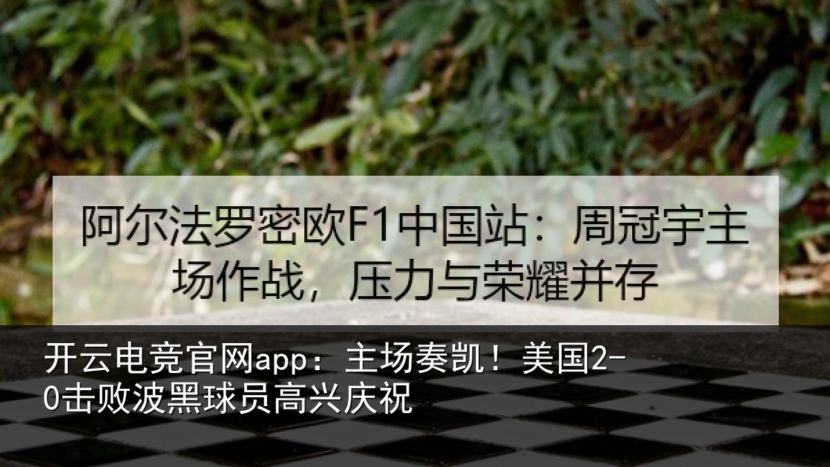开云电竞官网app：主场奏凯！美国2-0击败波黑球员高兴庆祝