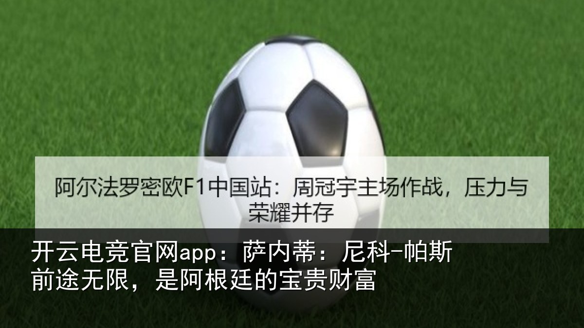 开云电竞官网app：萨内蒂：尼科相关情况根廷的宝贵财富