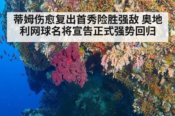 蒂姆伤愈复出首秀险胜强敌 奥地利网球名将宣告正式强势回归